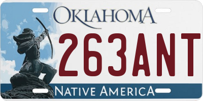 OK license plate 263ANT