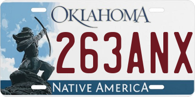OK license plate 263ANX