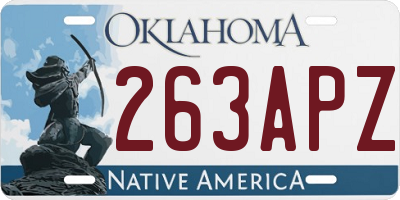 OK license plate 263APZ