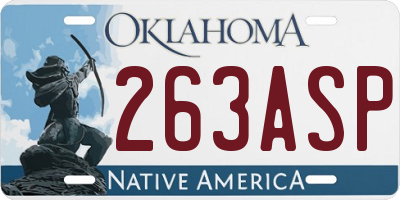 OK license plate 263ASP