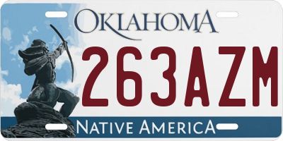 OK license plate 263AZM