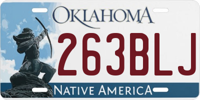 OK license plate 263BLJ