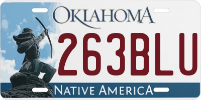 OK license plate 263BLU
