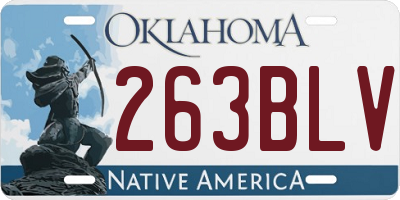 OK license plate 263BLV