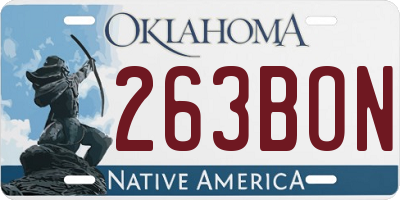 OK license plate 263BON