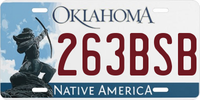 OK license plate 263BSB
