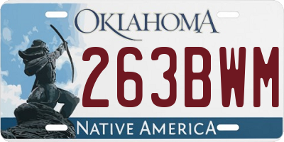 OK license plate 263BWM
