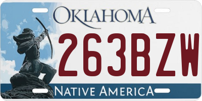 OK license plate 263BZW