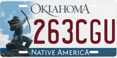OK license plate 263CGU