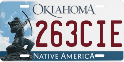 OK license plate 263CIE