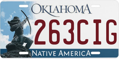OK license plate 263CIG