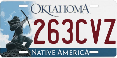 OK license plate 263CVZ