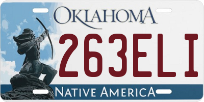 OK license plate 263ELI