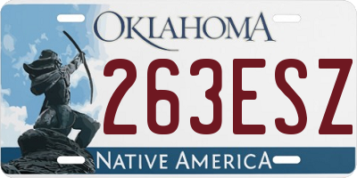 OK license plate 263ESZ