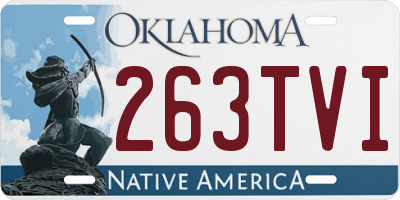 OK license plate 263TVI