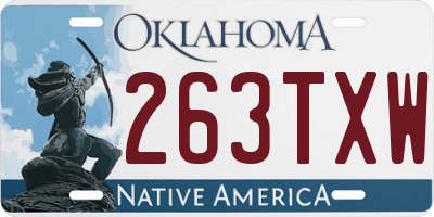 OK license plate 263TXW