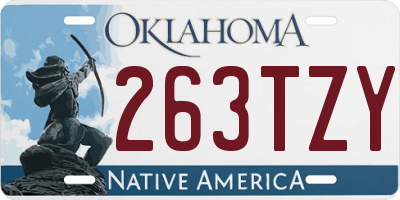 OK license plate 263TZY