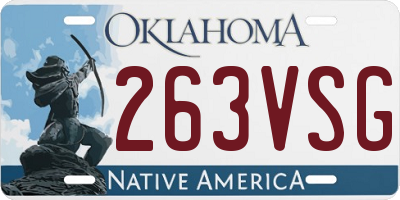 OK license plate 263VSG