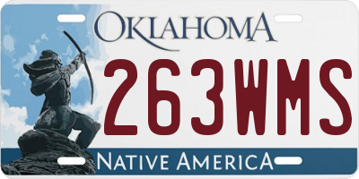 OK license plate 263WMS