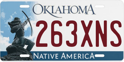 OK license plate 263XNS