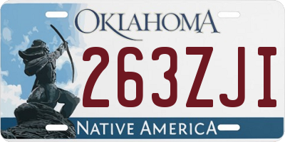 OK license plate 263ZJI