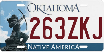 OK license plate 263ZKJ