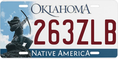 OK license plate 263ZLB