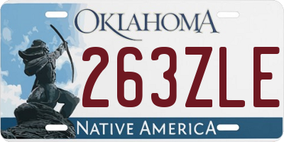OK license plate 263ZLE