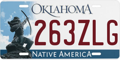 OK license plate 263ZLG