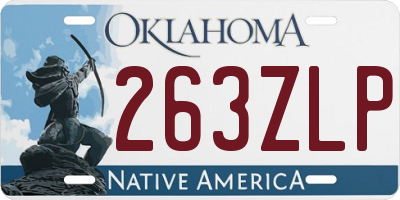 OK license plate 263ZLP