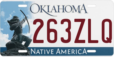OK license plate 263ZLQ