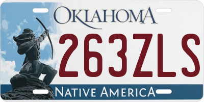 OK license plate 263ZLS