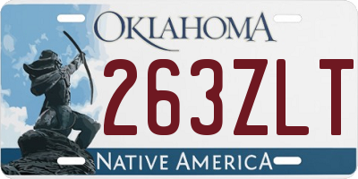 OK license plate 263ZLT