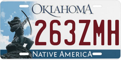 OK license plate 263ZMH