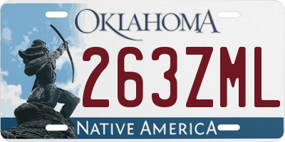OK license plate 263ZML
