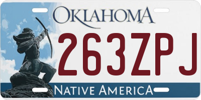 OK license plate 263ZPJ