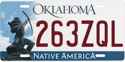 OK license plate 263ZQL