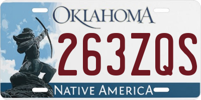 OK license plate 263ZQS