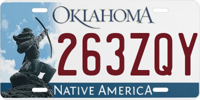 OK license plate 263ZQY