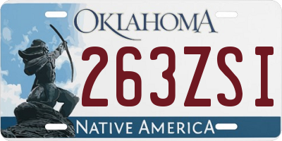 OK license plate 263ZSI