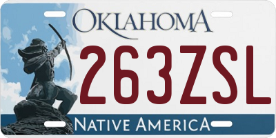 OK license plate 263ZSL