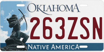OK license plate 263ZSN
