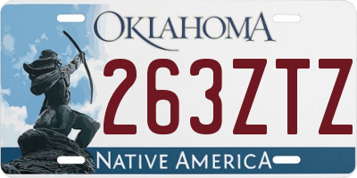 OK license plate 263ZTZ