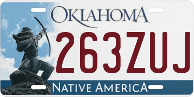 OK license plate 263ZUJ