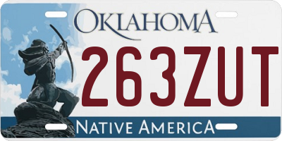 OK license plate 263ZUT