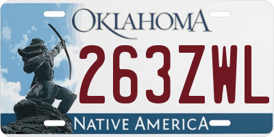 OK license plate 263ZWL