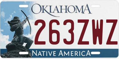 OK license plate 263ZWZ