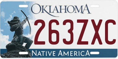 OK license plate 263ZXC