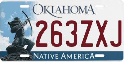 OK license plate 263ZXJ