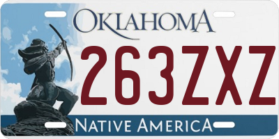 OK license plate 263ZXZ